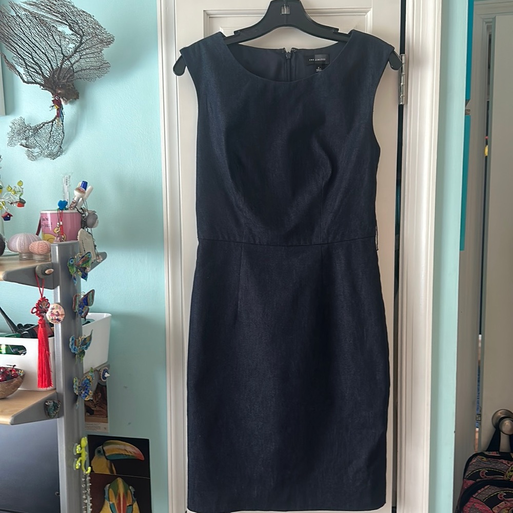 The limited denim dress